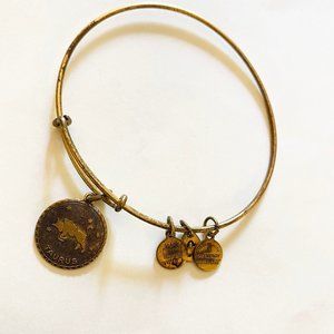 Alex and Ani Bangle Bracelet - Taurus Charm